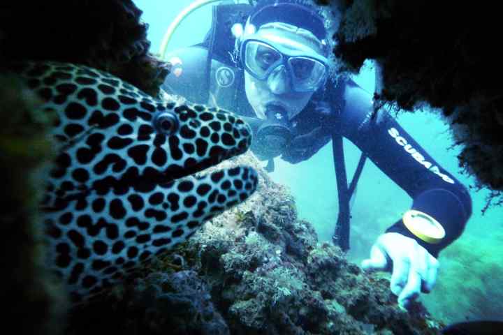 scuba-diving-fujairah